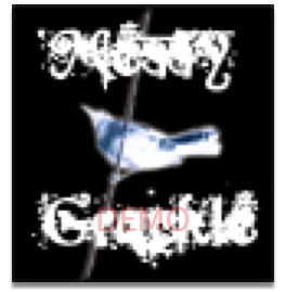 a messy grackle gift certificate